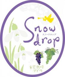 【3/18入荷】【要クール便】曙酒造　Snowdrop　自家栽培白ブドウ　720ml