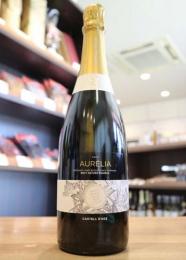 カステル・ダージュ　カヴァオーレリアブリュットナチュレレセルヴァ　白泡　750ml(金)