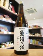【飲食店専用】八海山　純米酒　魚沼で候　1800ml