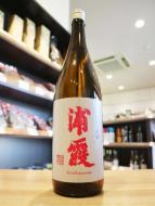 浦霞　芳醇純米　原酒　1800ml(赤)