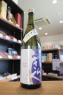 土佐しらぎく　純米大吟醸　朝日　秋上がり　1800ml