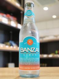 BANZAIサイダー　330ml