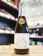 船越ワイナリー　2025 Rouge　赤 375ml(ハーフ)　　≪300本限定ヌーヴォー≫