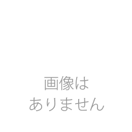 繁桝　限定　大吟醸　生々　1800ml(緑)