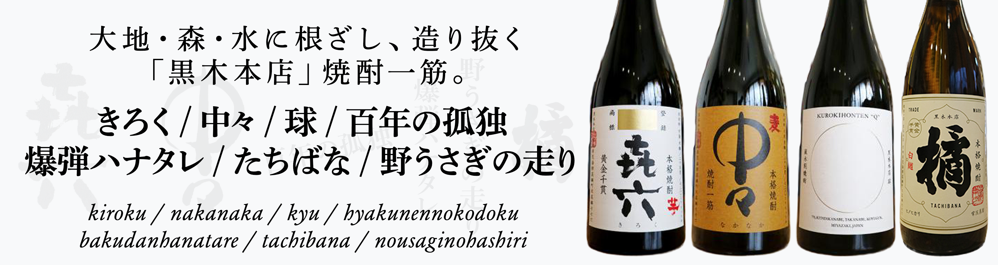 きろく 中々 球 百年の孤独 爆弾ハナタレ たちばな 野うさぎの走り